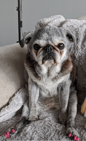 May-24-2020-suji-sunday