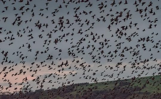 Photograph by Sophie Hale