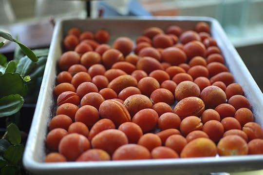 Frozen grape tomatoes on a small rimmed baking sheet.