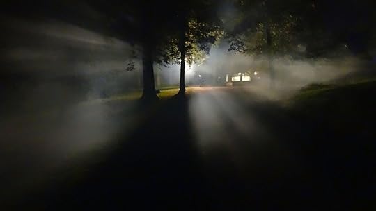 Bosque, Niebla, Oscuro, Soledad, El Miedo, Horror