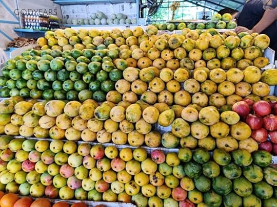 various varieties of Indian mangoes