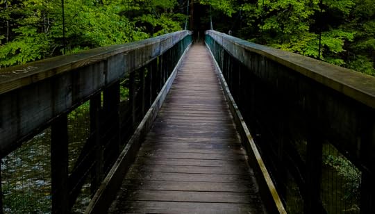 bridge in woods