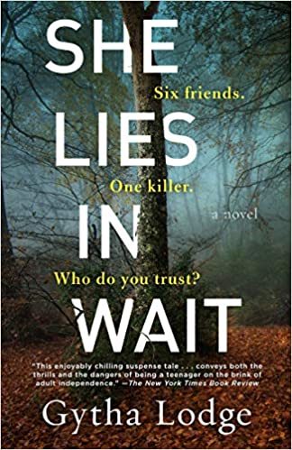 Review: She Lies in Wait, Gytha Lodge
