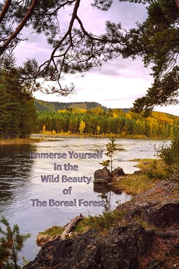 In addition to providing habitat for plants and animals, the boreal forest supports people's cultural, spiritual, and aesthetic needs.