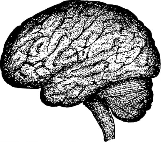 See the source image