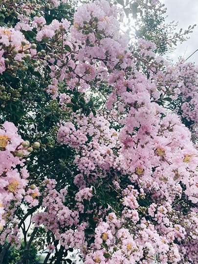 Let It Be Sunday, 273!