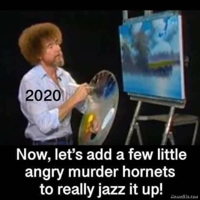 2020 murder hornets