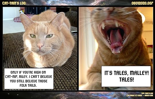 Cat-tain