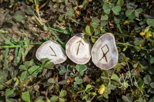 The Weekly Runecast for 31 May 2020 on Intentional Insights- by S. Kelley Harrell, Soul Intent Arts #theweeklyrune