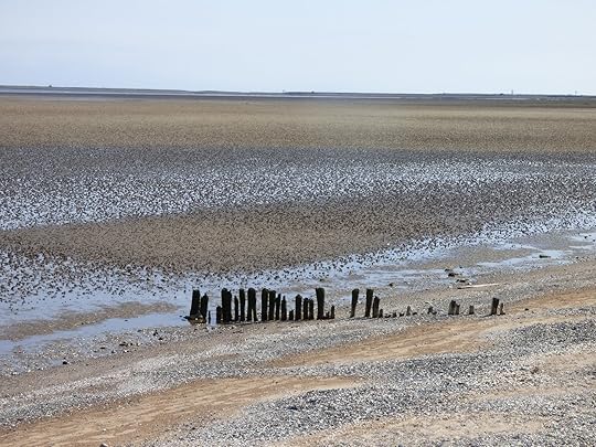 Image may contain: sky, beach, outdoor, water and nature