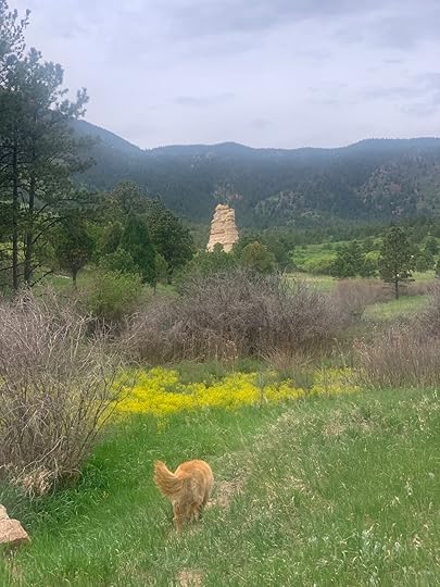 On my walk yesterday! :)