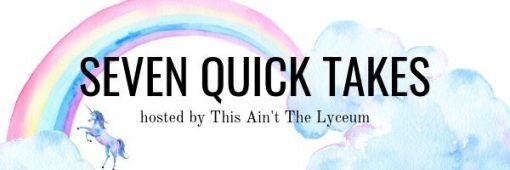 seven quick takes.jpg