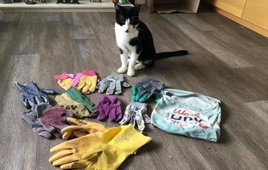 elmo-cat-garden-gloves