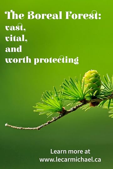 The boreal forest is a vast and vital wilderness that is worth protecting.