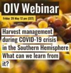 webinar