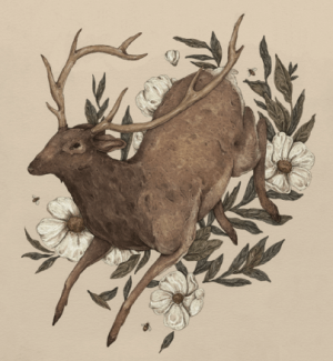 Deer by Jessica Roux