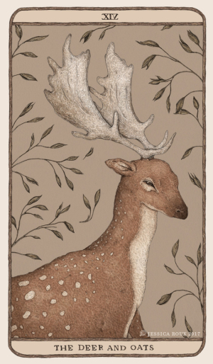 The Deer and the Oats by Jessica Roux