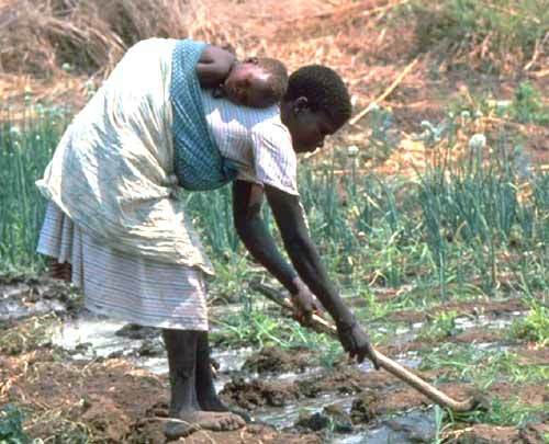 April | 2011 | Brown. Girl. Farming.
