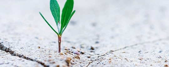 God’s Tool for Your Elevation 2