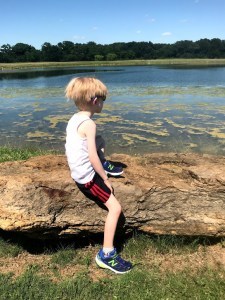 Noah Gazing
