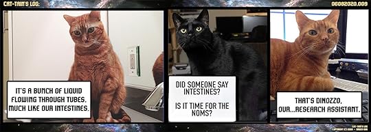 Cat-tain