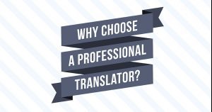 Professional Translator