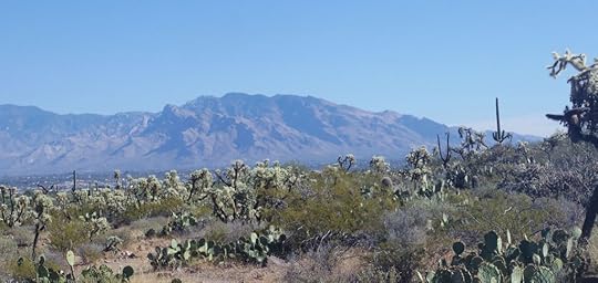View of Mount Lemmon, Arizona