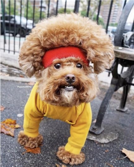 thumbnail_image001.png