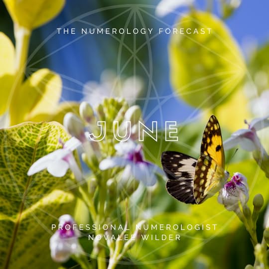 The Numerology Forecast - June 2020 by professional numerologist Novalee Wilder. Phpto depicts a butterfly on a flower in the sun