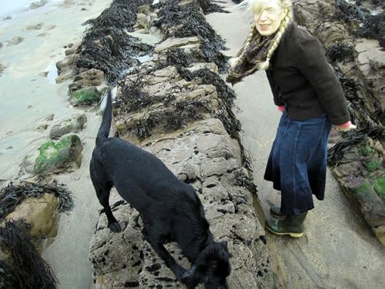 Me & Tilly on the Devon coast