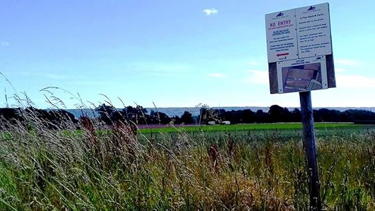 Image may contain: sky, plant, grass, tree, cloud, outdoor and nature