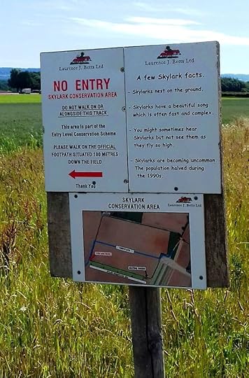 Image may contain: outdoor