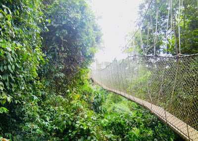 Ghana Top Ten: Canopy walkway at Kakum National Park, Central Region (Photo: Kwei Quartey)