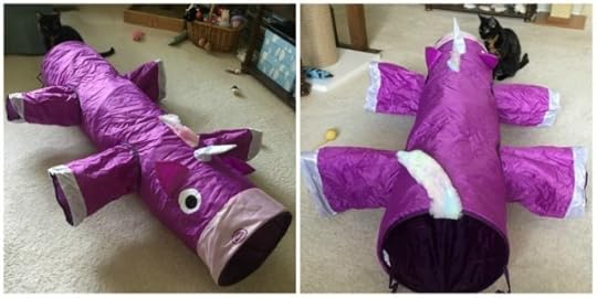 cat-tunnel