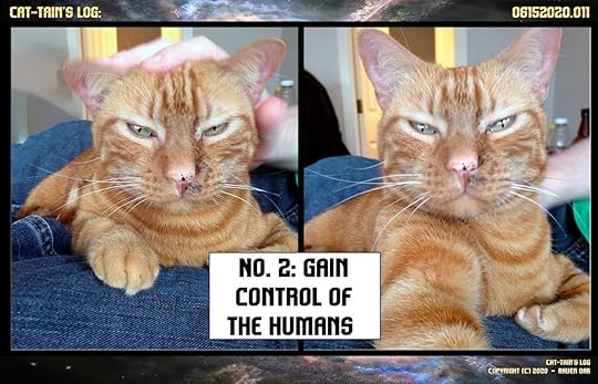 Cat-tain