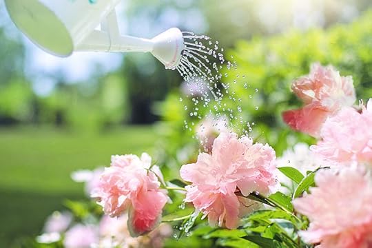 watering-flowers-peonies-pink-preview