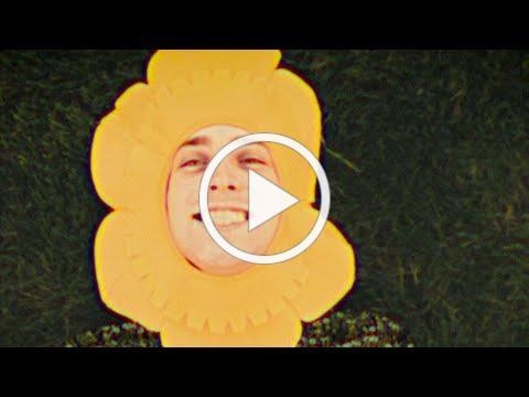 Remo Drive - "A Flower and a Weed" (Lyric Video)