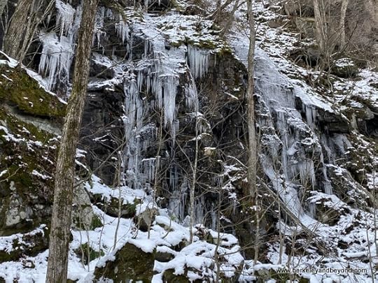 frozen waterfall in Oirase Gorge in Oirase National Park in Aomori, Japan