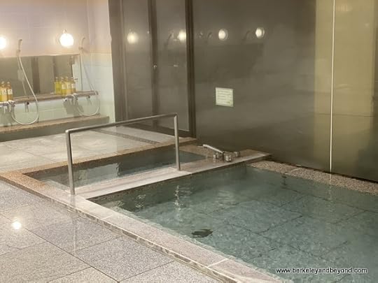 onsen bath at Hotel Jogakura in Amori, Japan