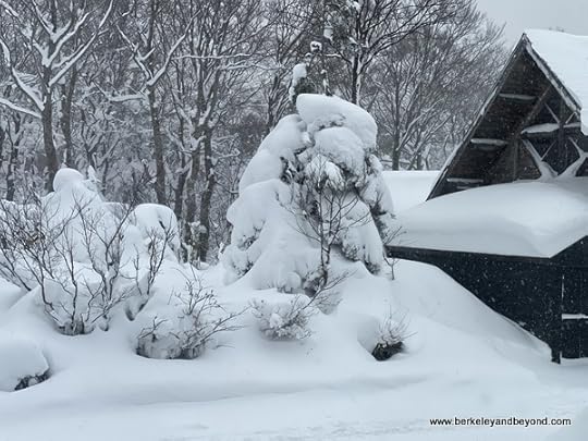 snow monster outside Hotel Jogakura in Amori, Japan