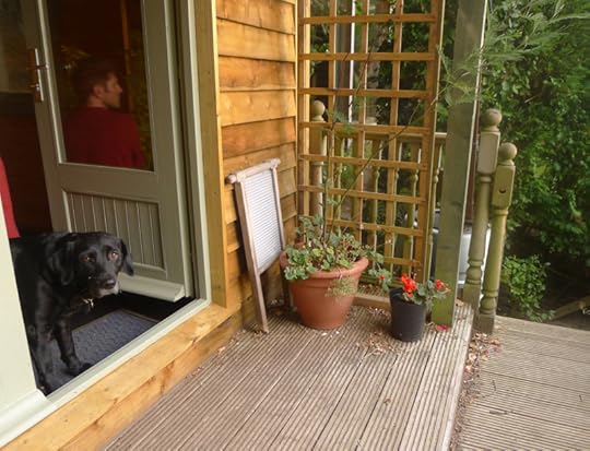 My work cabin at the end of our garden. 