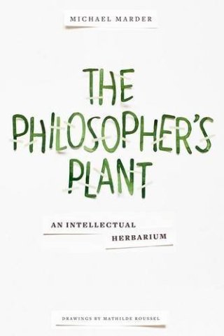 Leibniz’s Blades of Grass: The Philosophy of Plants, Difference as the Wellspring of Identity, and How Diversity Gives Meaning to the World