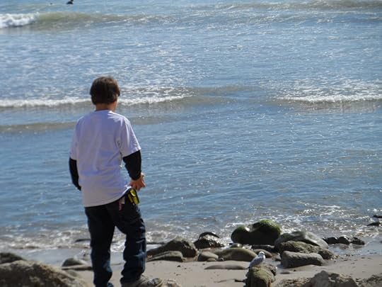 young boy walking on rocks on beach