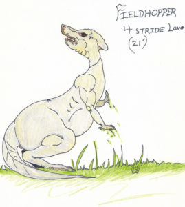 Colored pencil and ink drawing of a fieldhopper by Matthew Wayne Selznick, 1992