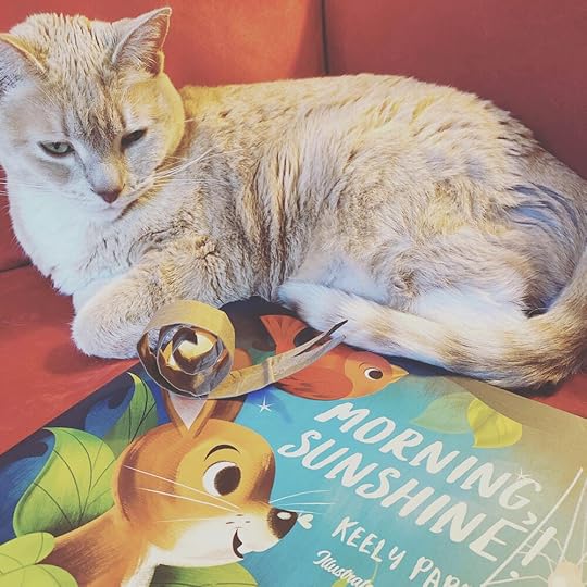 Keely’s very demanding cat contemplating her review of Morning, Sunshine! (photo by Keely Parrack)