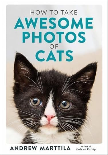 how-to-take-awesome-photos-of-cats