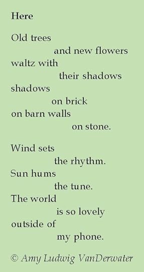 Amy Ludwig VanDerwater's Blog