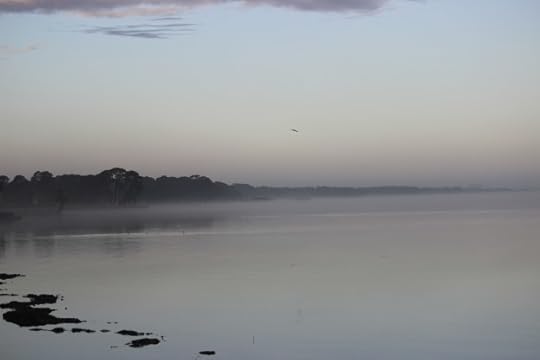 mist settling on the water