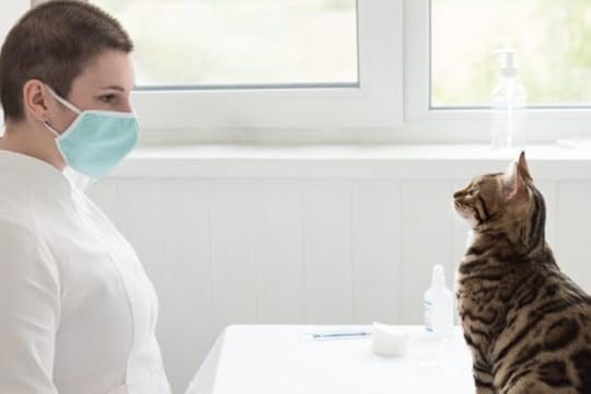 veterinary-visit-pandemic-covid