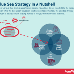 blue-sea-strategy